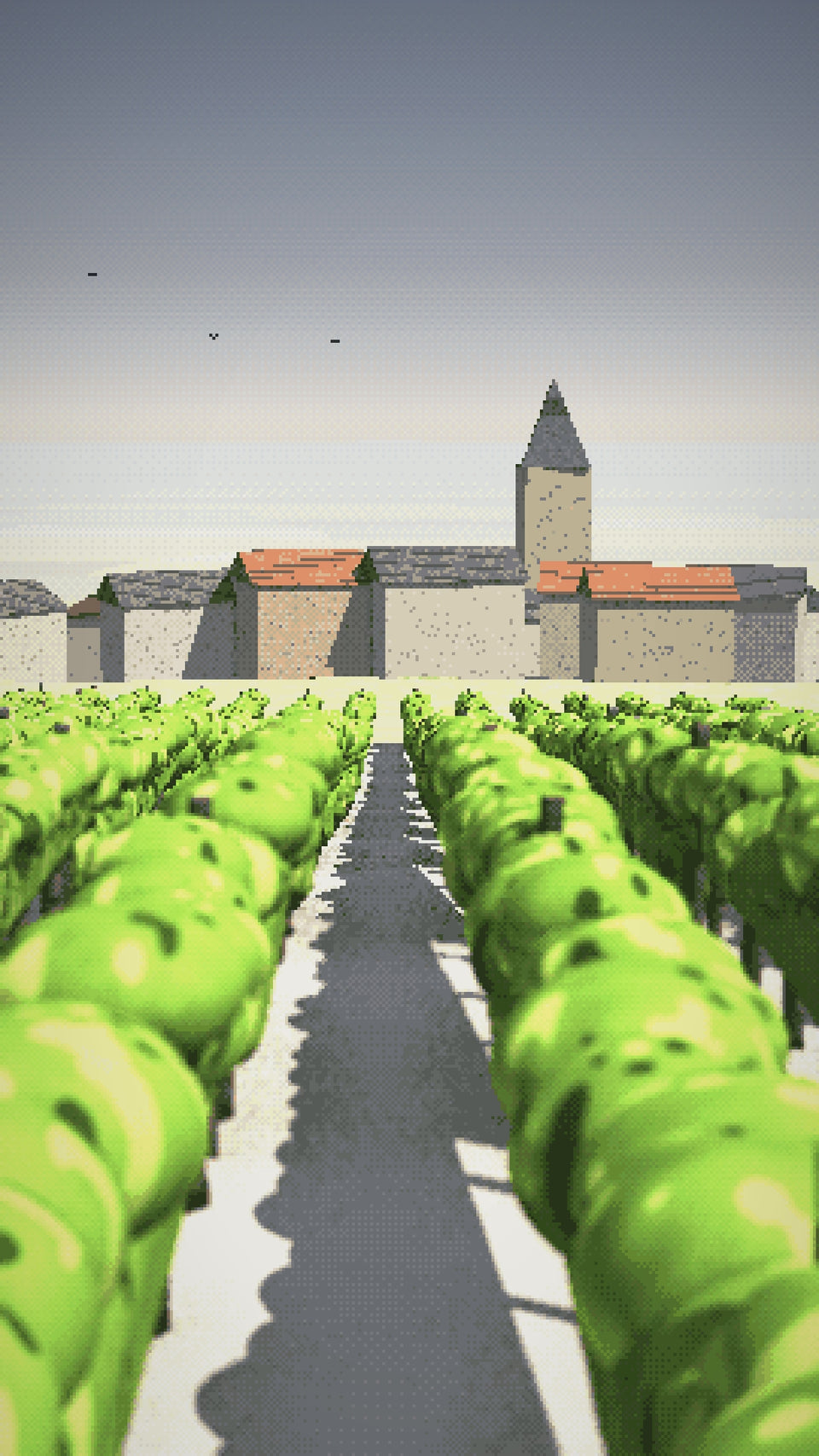 Video: Le Mesnil-sur-Oger in May, new shoots bright on the chalk