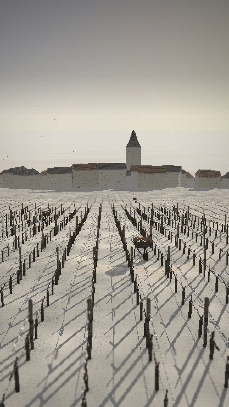 Video: winter on the chalk at Le Mesnil-sur-Oger, pruners' braziers smoking in the rows