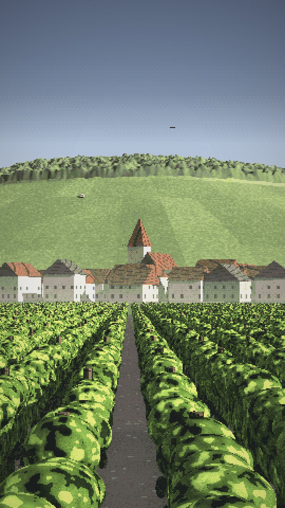 Video: the hill of Corton above Aloxe, and a crown and sceptre in the vines