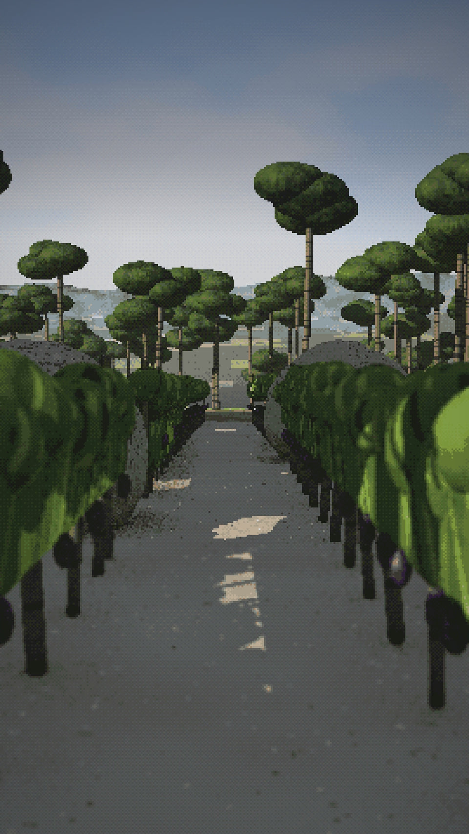 Video: A small Dão vineyard on granite sand among boulders and pines