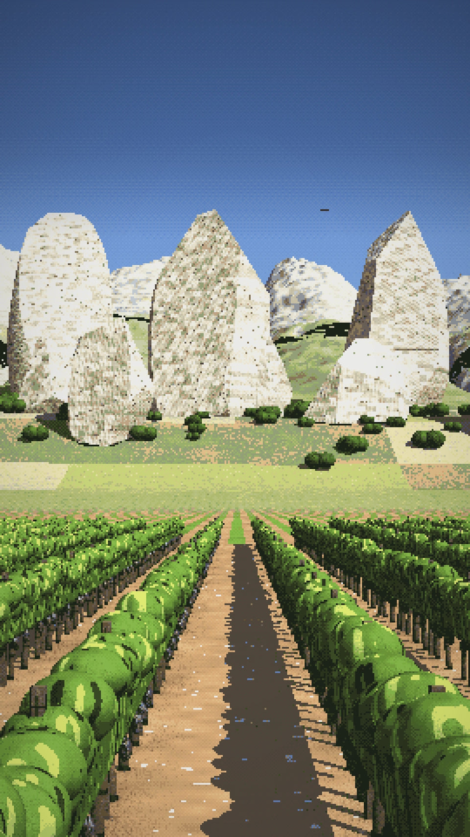 Video: a bowl of vines under the white crags of the Alpilles in Provence