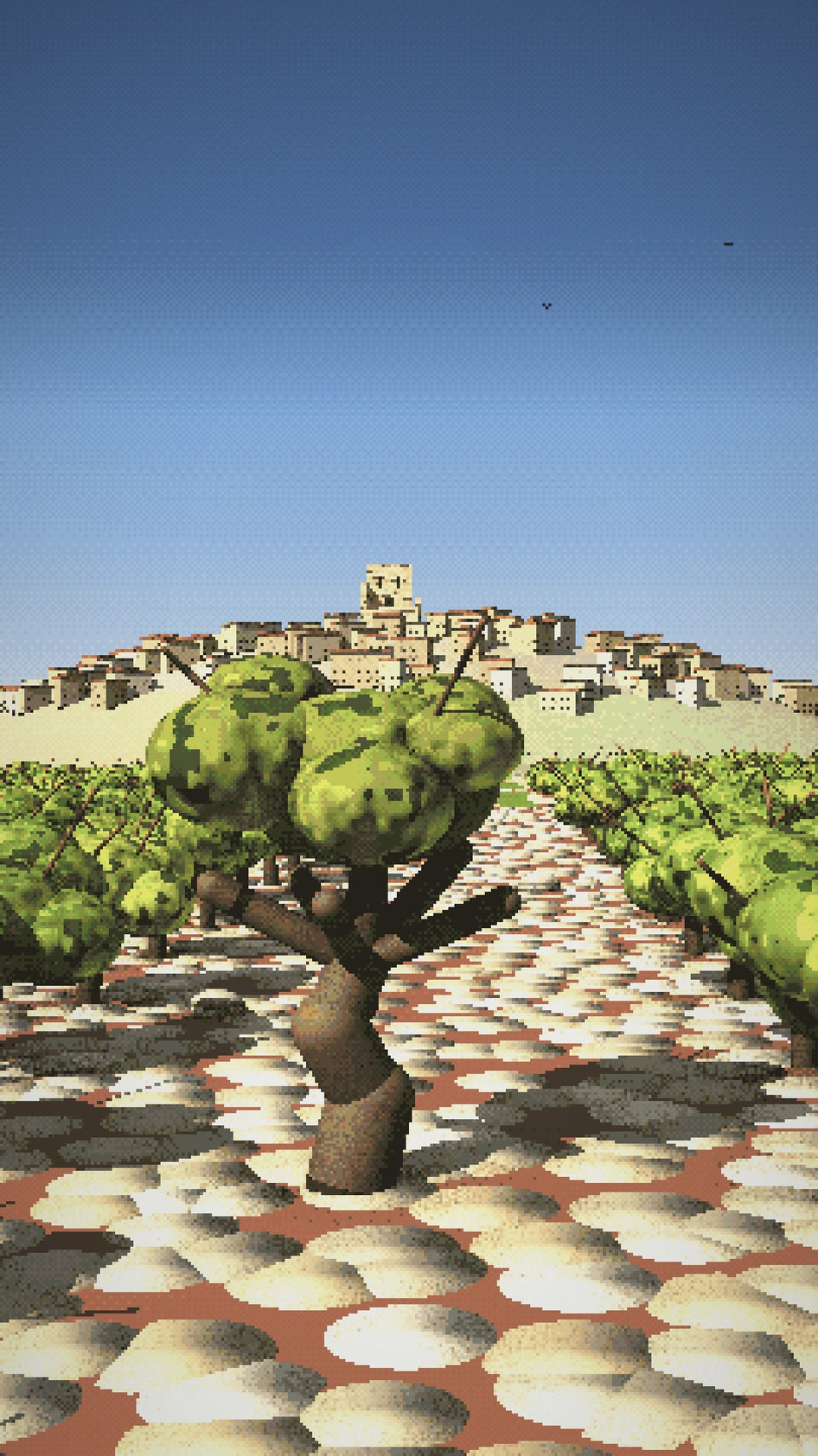 Video: an old bush vine on the stones of Châteauneuf-du-Pape