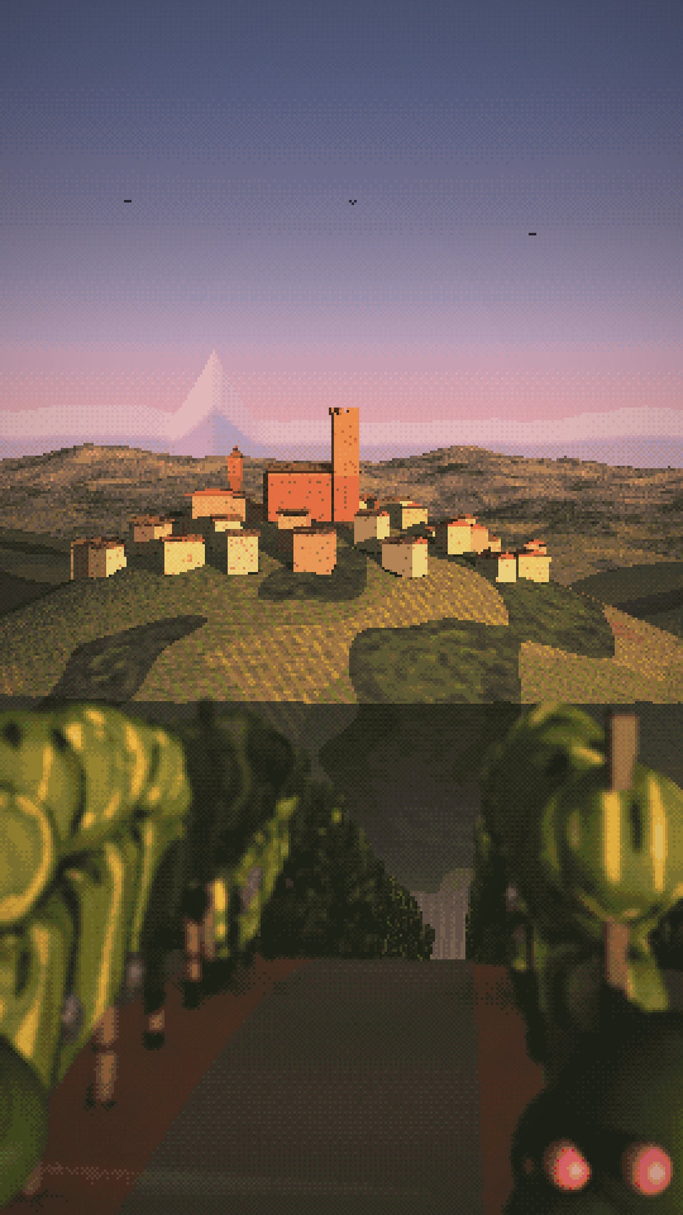 Video: Barolo at sunset, roses at the ends of the rows and a guitar
