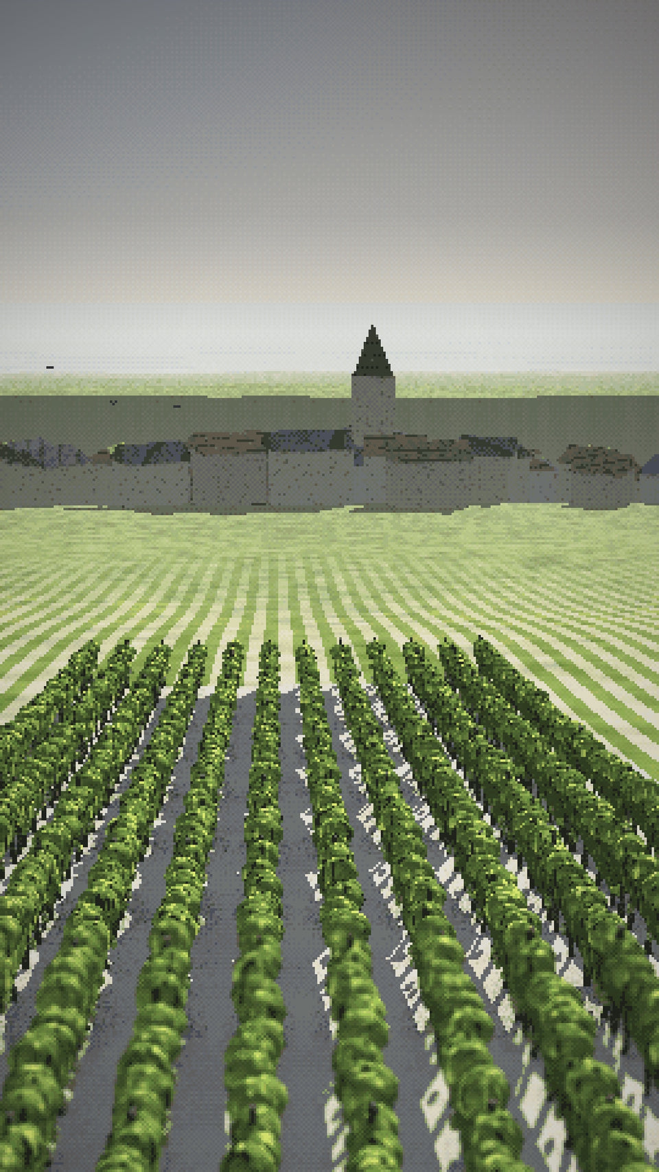 Video: Chardonnay on the chalk at Le Mesnil-sur-Oger, and the cellar beneath