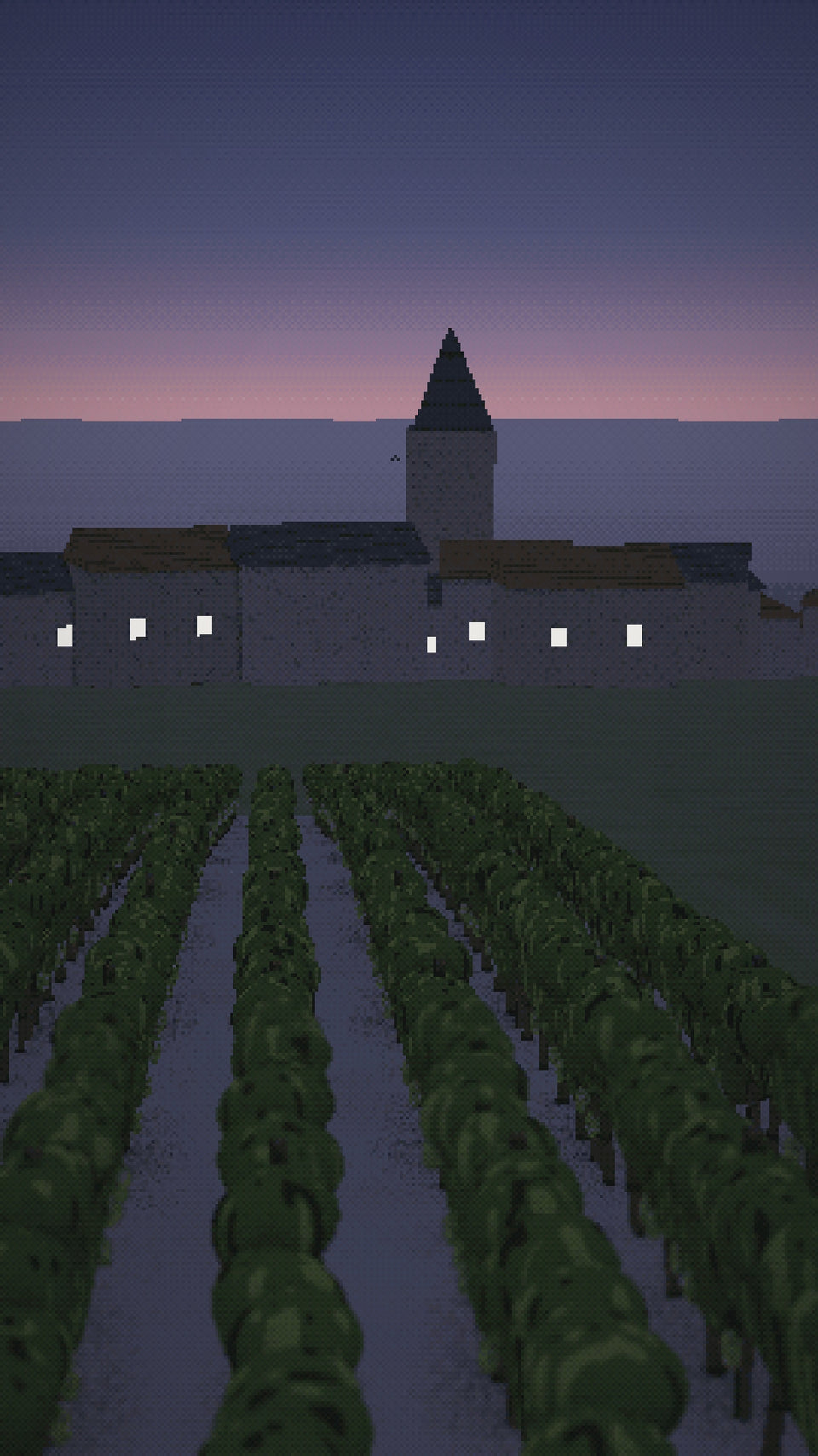 Video: Le Mesnil-sur-Oger at dusk, then a lantern in the chalk cellar beneath