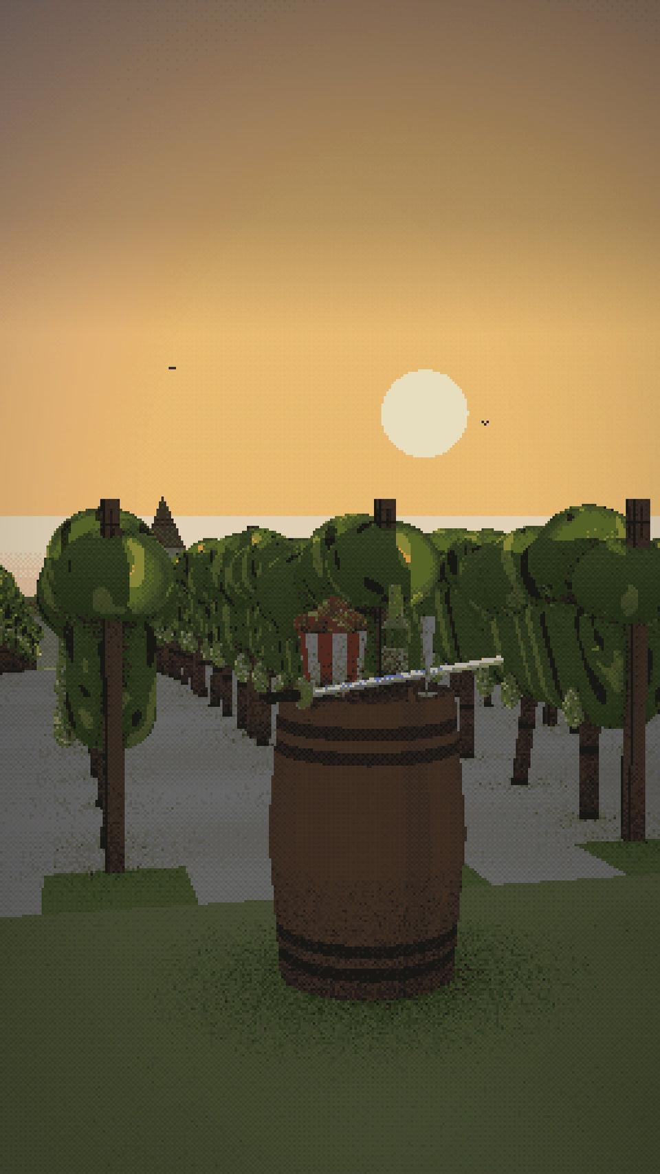 Video: sabering a bottle of Champagne at first light above the rows