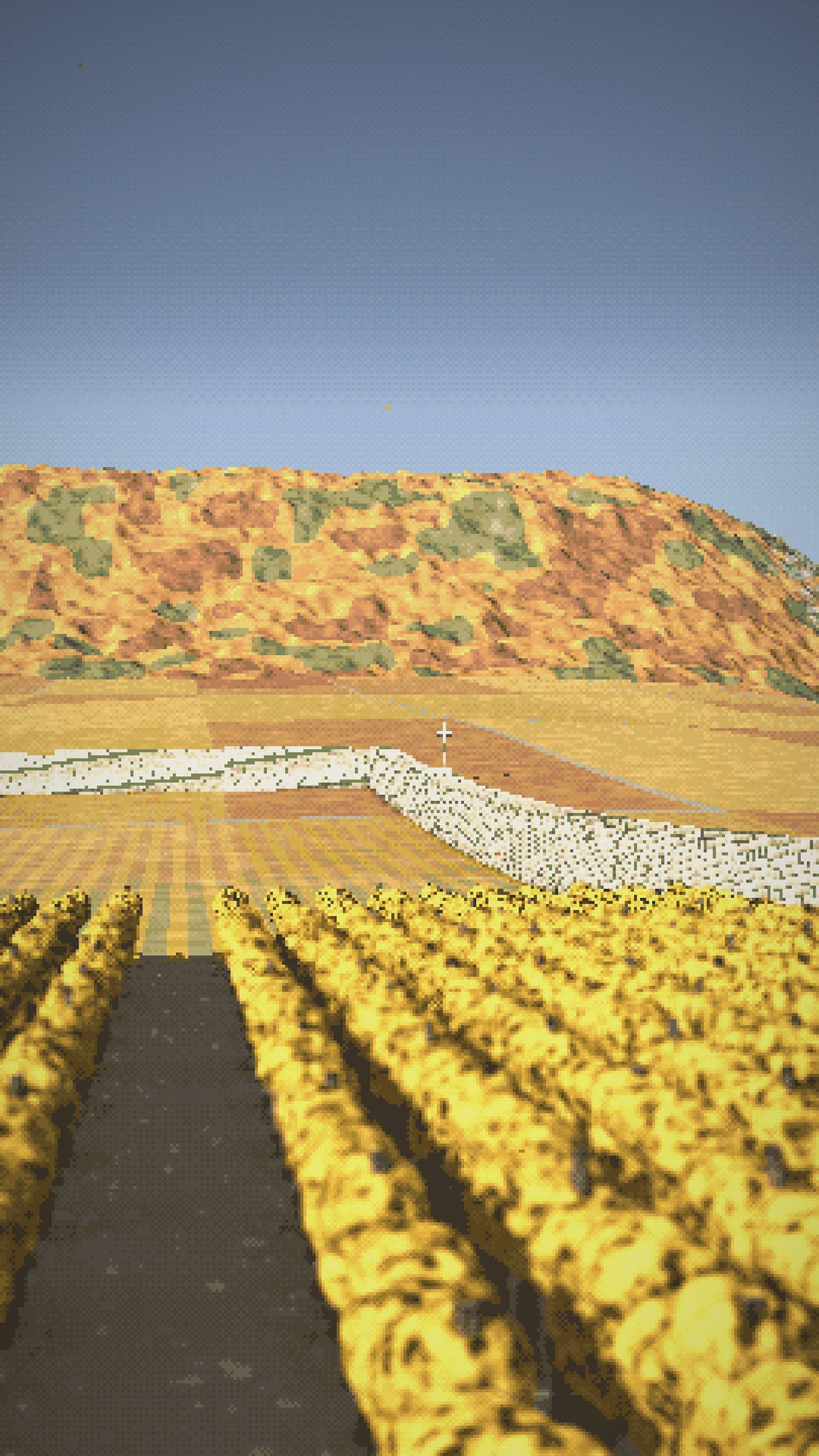 Video: Musigny gone gold after the harvest, a glass raised to the morning light