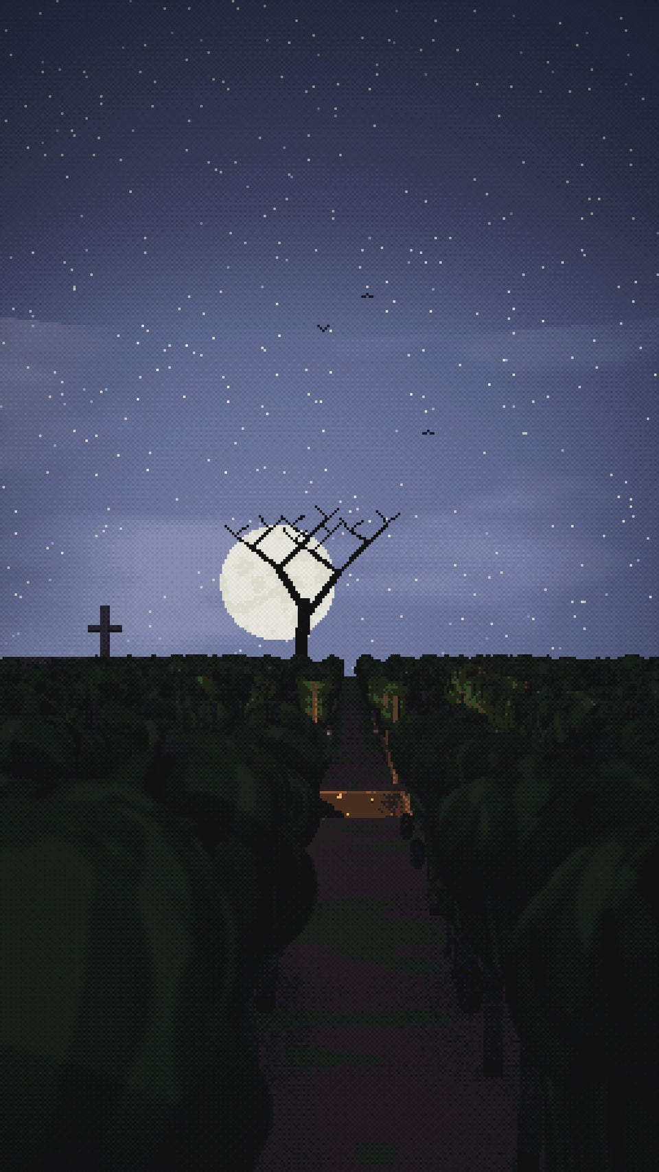 Video: a Burgundy vineyard at midnight under a full moon