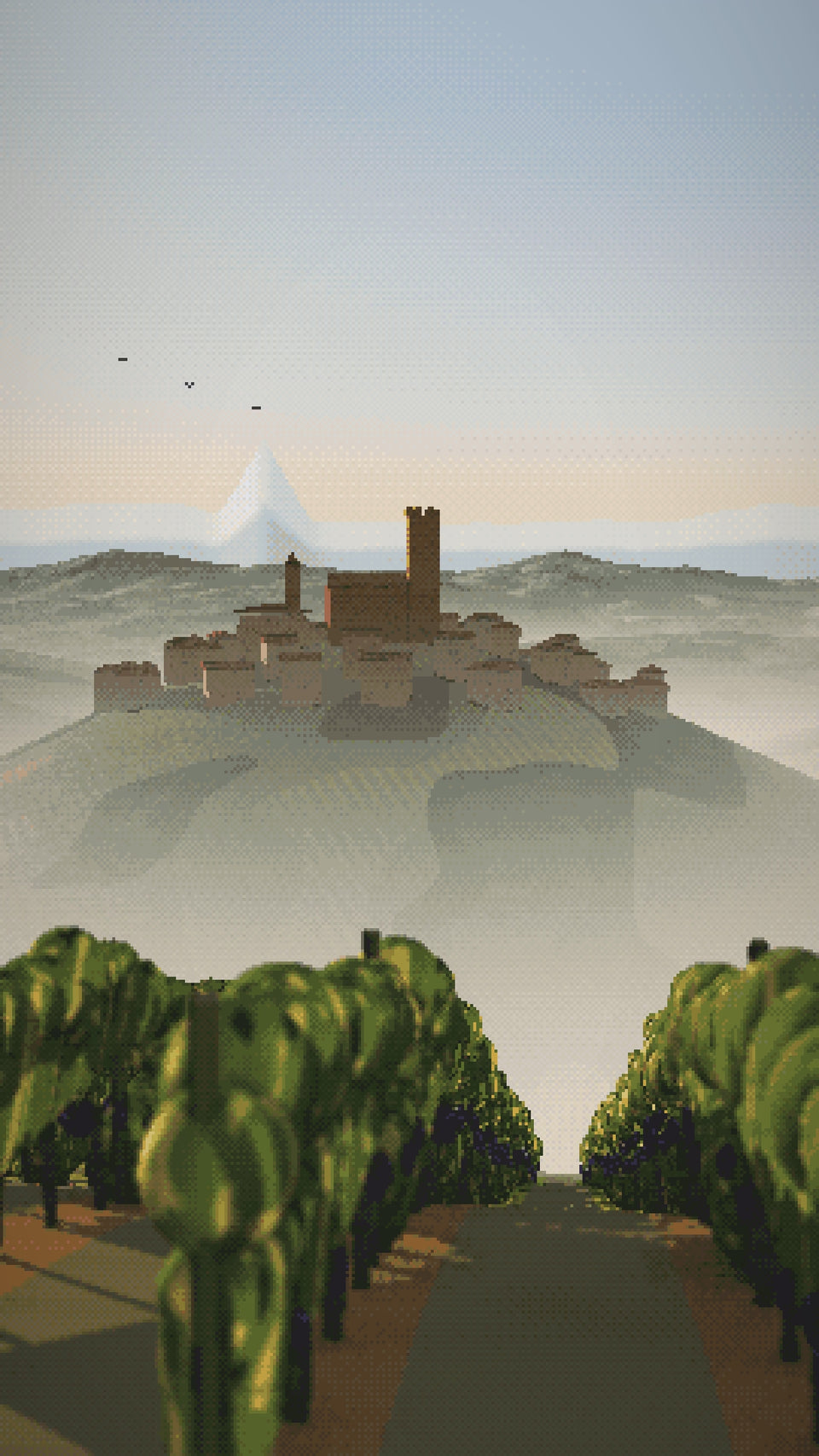 Video: dawn over the Langhe, a cellar door chalked Do Not Open Until 2045, and the four bottles of the set