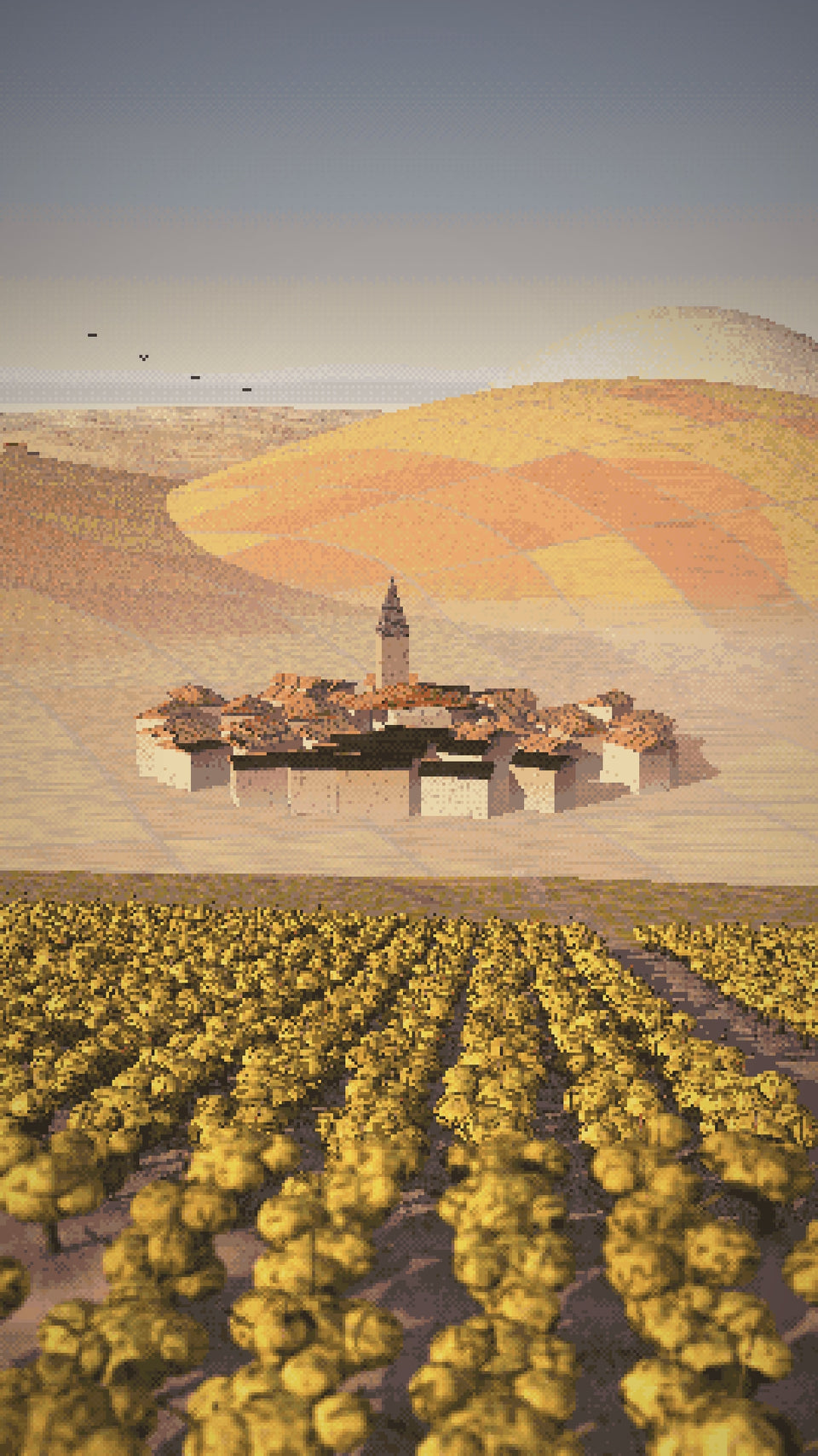 Video: Morgon in the fall, gold Gamay vines down to Villie-Morgon