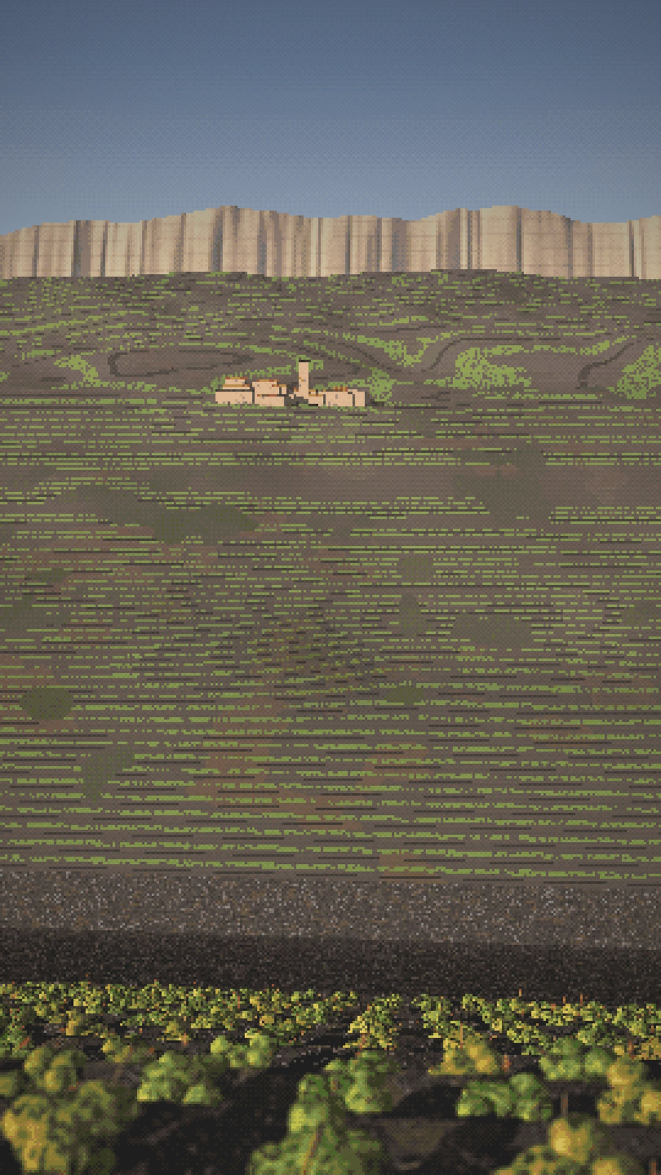 Video: Old vines on terraces of black slate high over a gorge in the Priorat