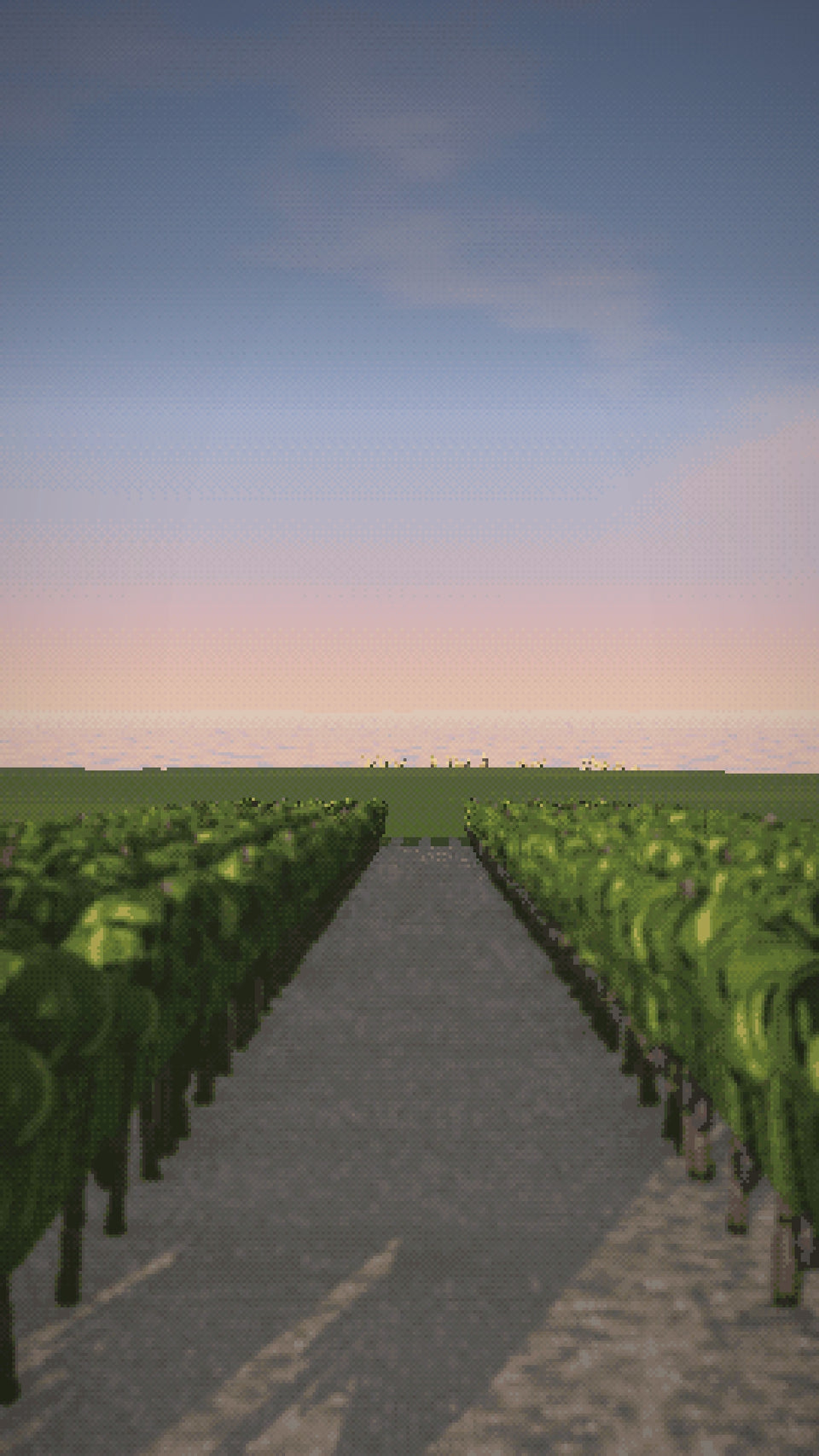 Video: An alley of Cabernet in Pauillac down to the Gironde, then a rowboat full of bottles