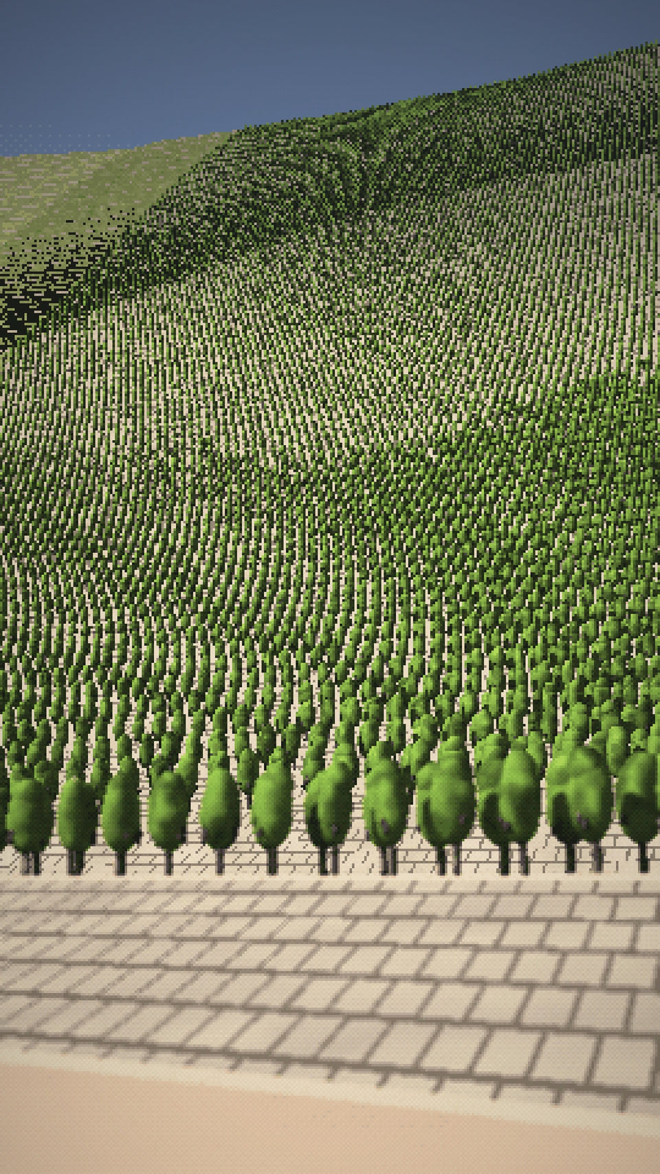 Video: The granite terraces of Cornas on a bright afternoon, a glass raised to the sky