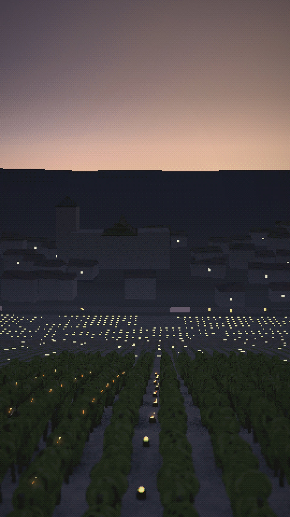 Video: frost candles on the Chablis Grand Cru slope before dawn, and a fossil oyster
