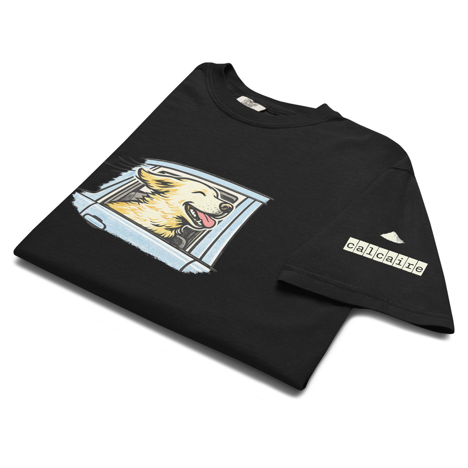 Best Buddy garment-dyed heavyweight t-shirt